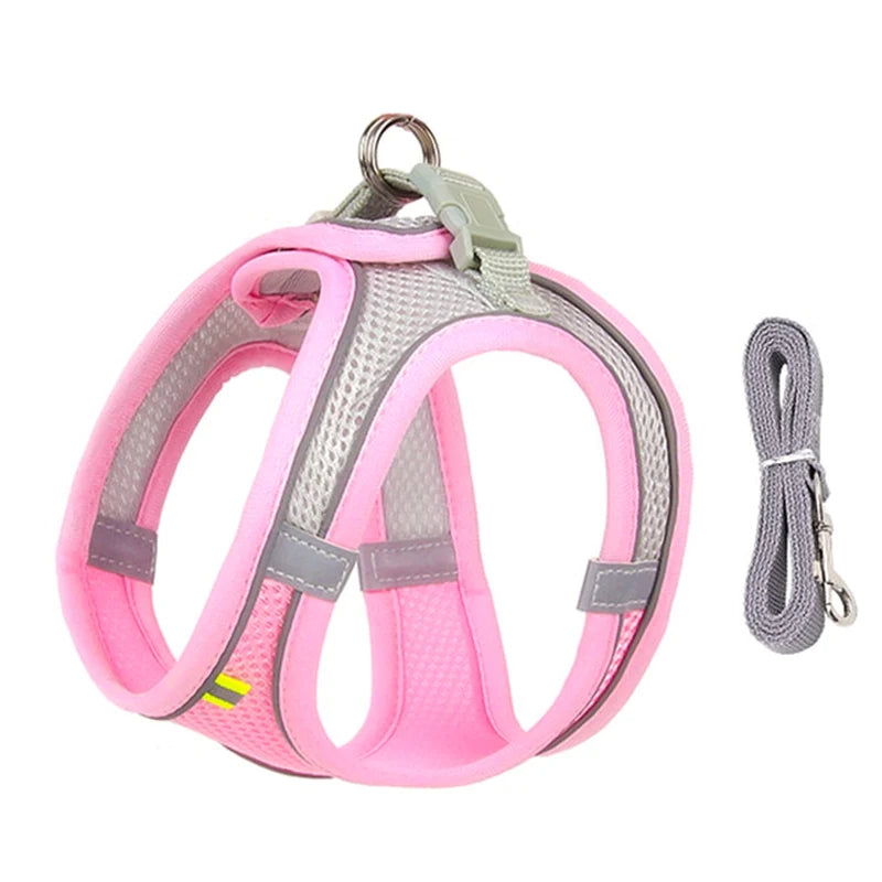 Adjustable Small Dog Harness & Leash Set