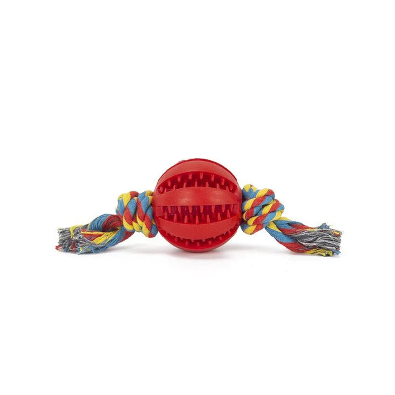 Interactive Chew Ball for Dogs – Tooth-Cleaning Food Toy