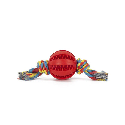 Interactive Chew Ball for Dogs – Tooth-Cleaning Food Toy