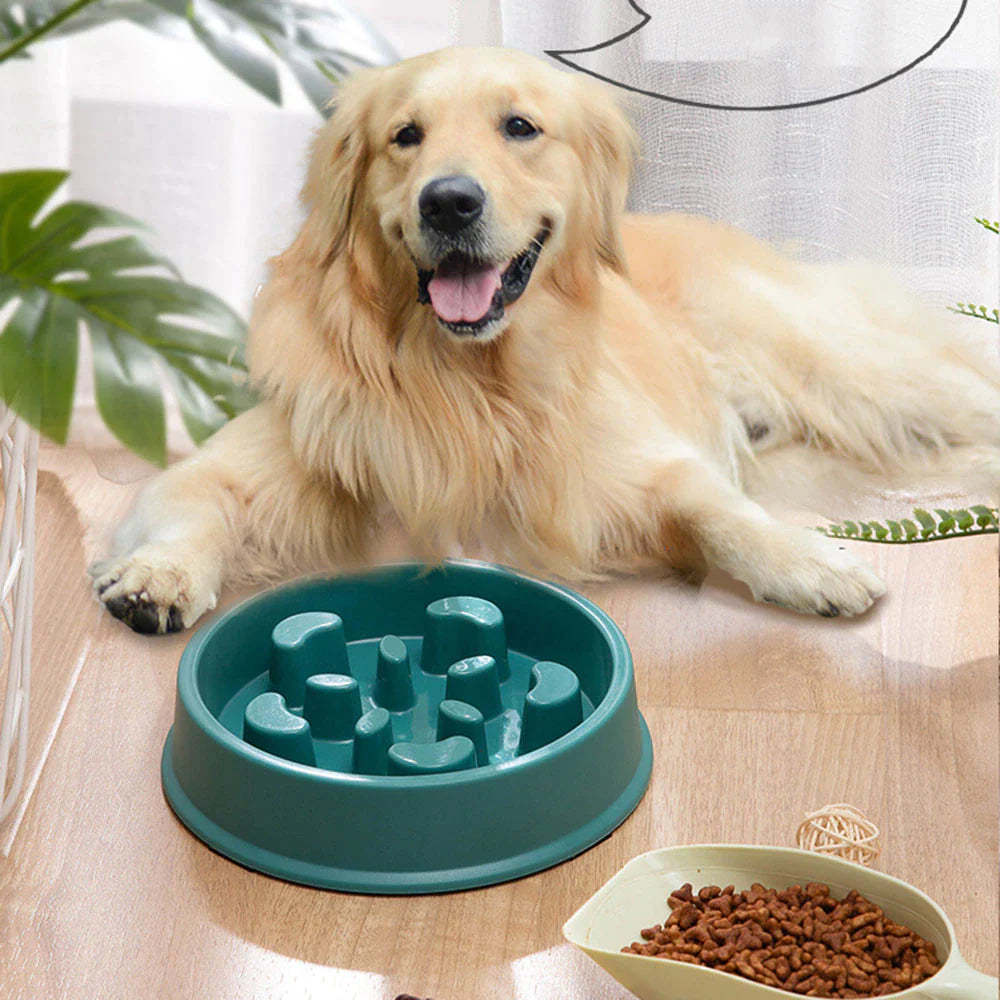 Slow Feed Non-Slip Bowl – Choke-Proof for Small Dogs & Cats