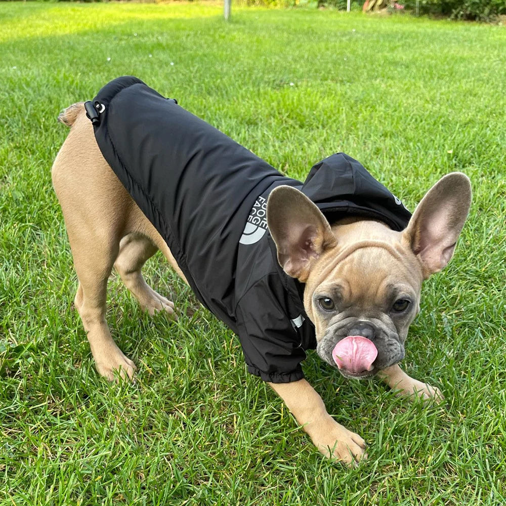 Waterproof Hooded Dog Winter Coat – Reflective Warm Jacket for Small Breeds