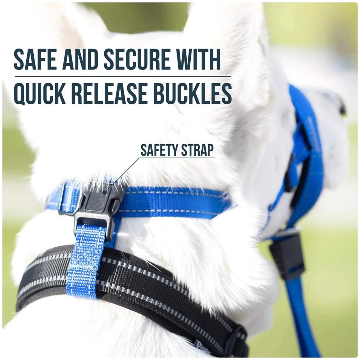 Reflective Dog Headcollar & Harness - No-Pull Training Collar for Small to Large Dogs