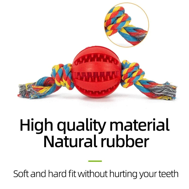 Interactive Chew Ball for Dogs – Tooth-Cleaning Food Toy