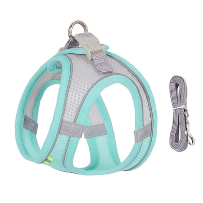 Adjustable Small Dog Harness & Leash Set