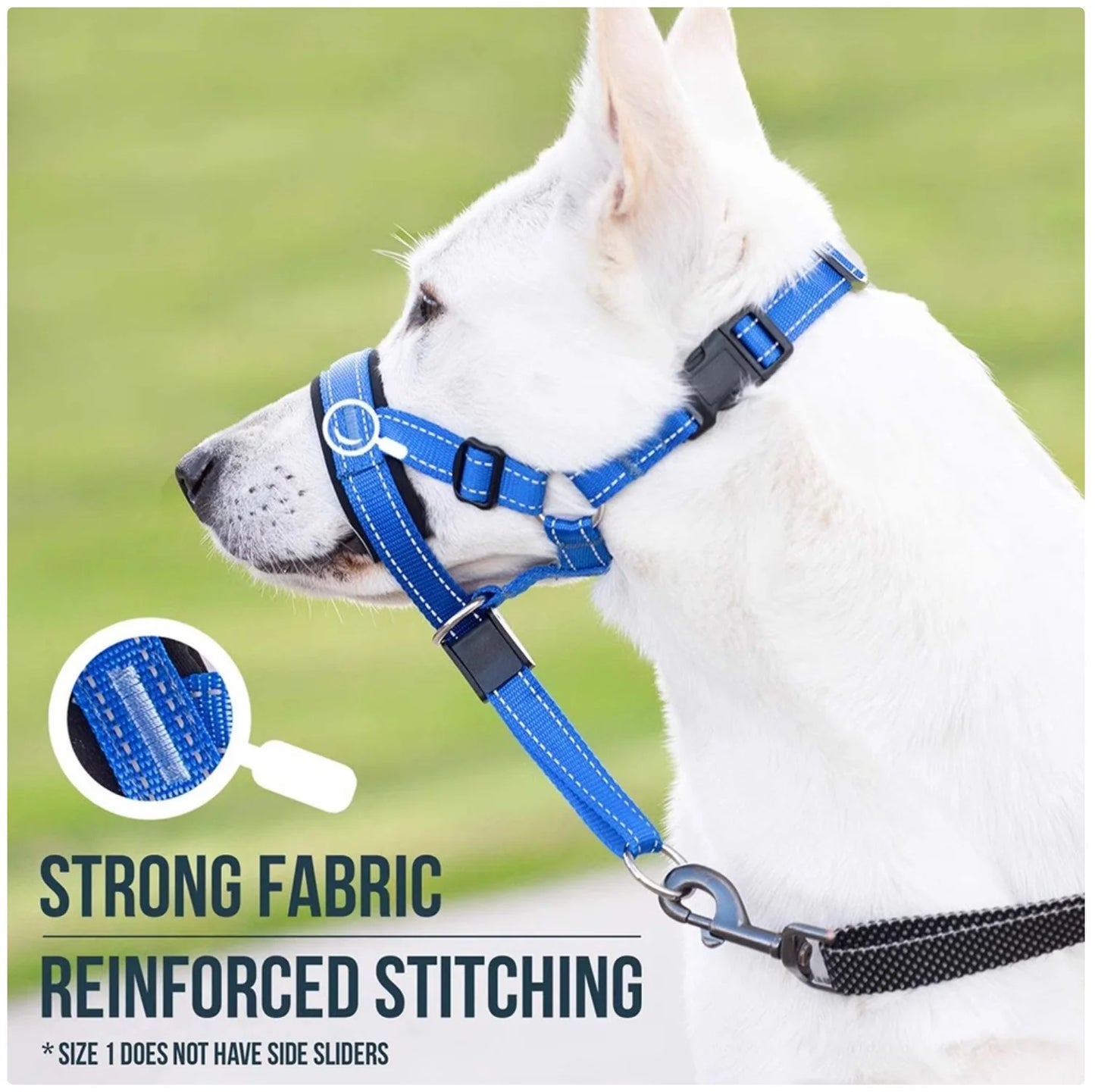 Reflective Dog Headcollar & Harness - No-Pull Training Collar for Small to Large Dogs