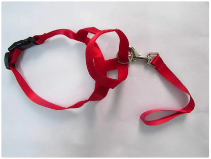 Dog Nose Loop Headcollar – No-Pull Training Halter for Walks