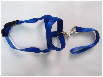 Dog Nose Loop Headcollar – No-Pull Training Halter for Walks