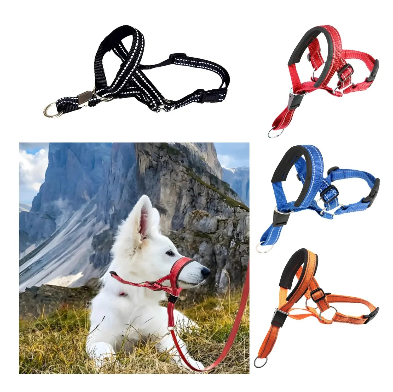 Reflective Dog Headcollar & Harness - No-Pull Training Collar for Small to Large Dogs
