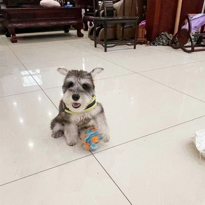 Snuffle Ball Dog Puzzle Toys 