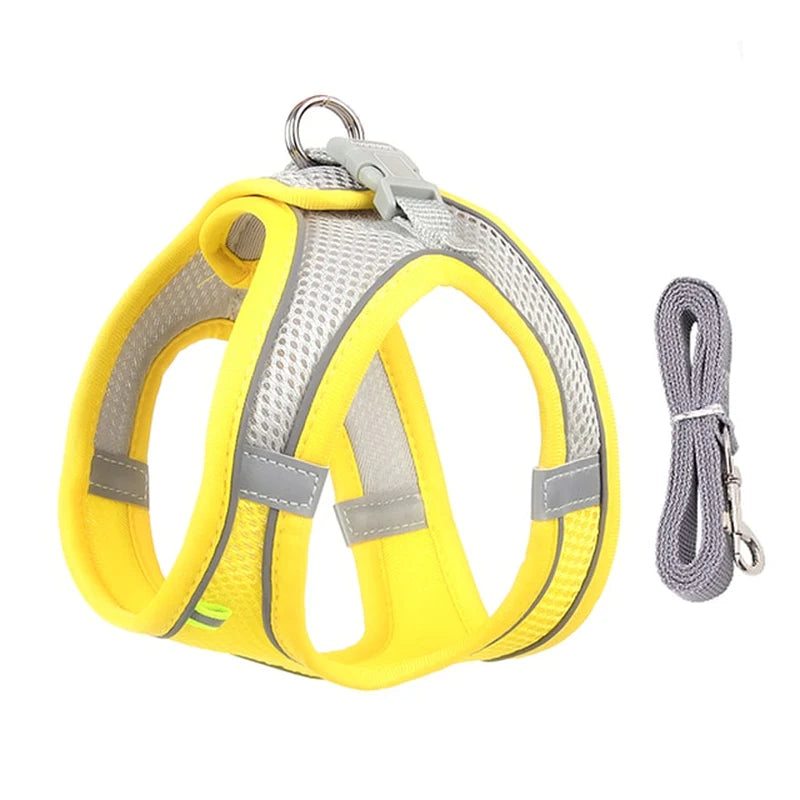 Adjustable Small Dog Harness & Leash Set