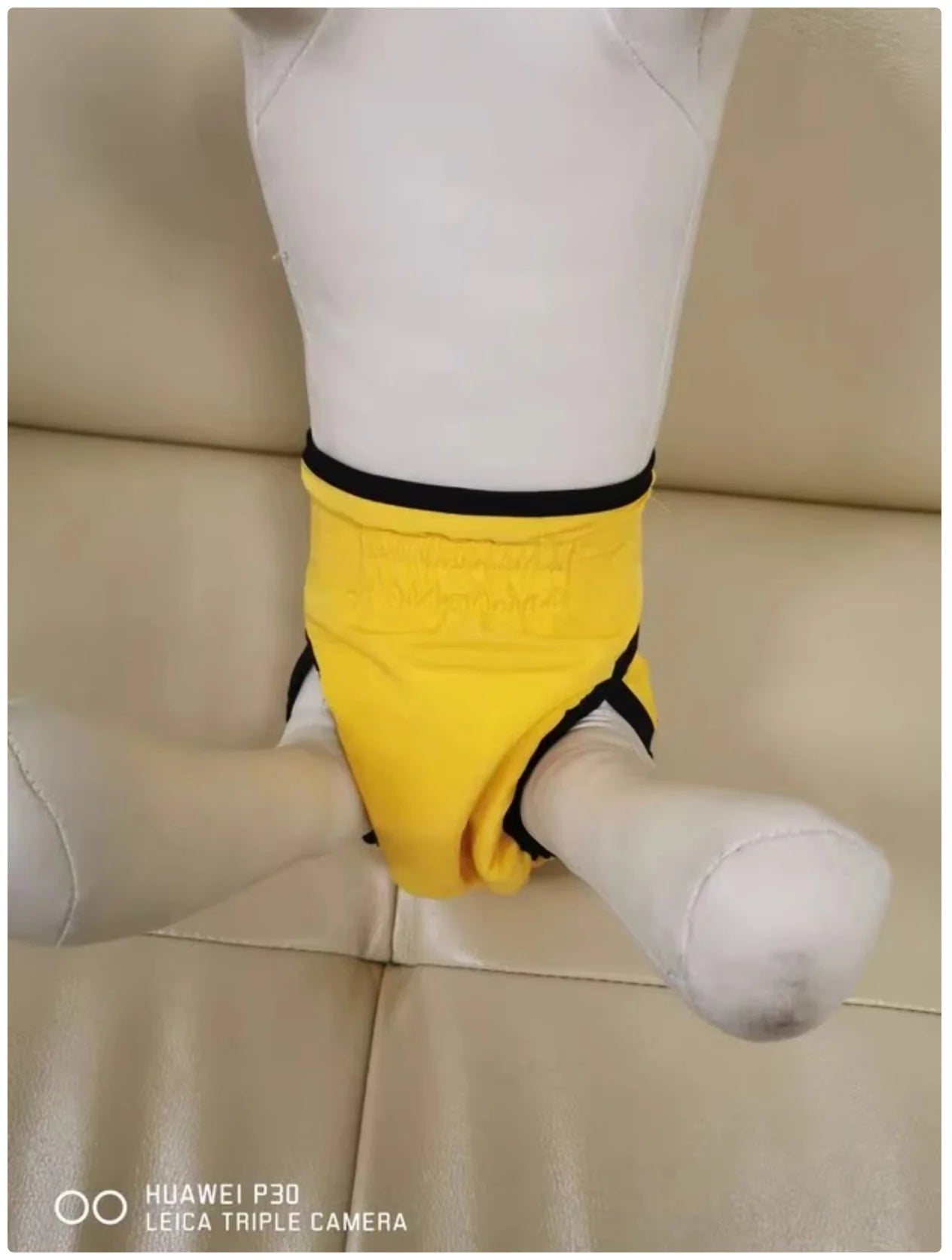 Female Dog Sanitary Pants - Washable Reusable Dog Diapers for Heat Cycle & Incontinence