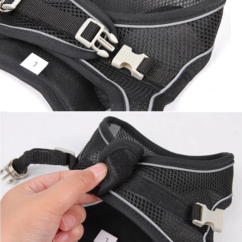 Adjustable Small Dog Harness & Leash Set