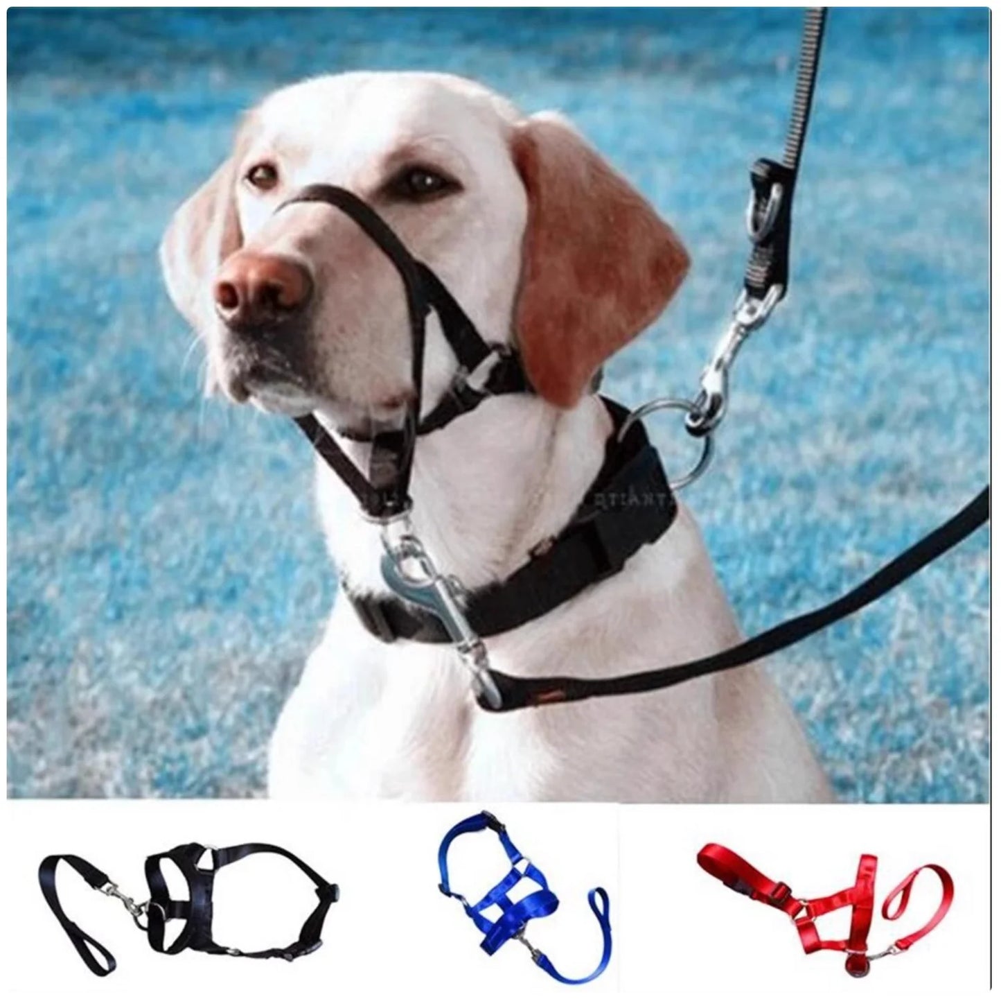 Dog Nose Loop Headcollar – No-Pull Training Halter for Walks