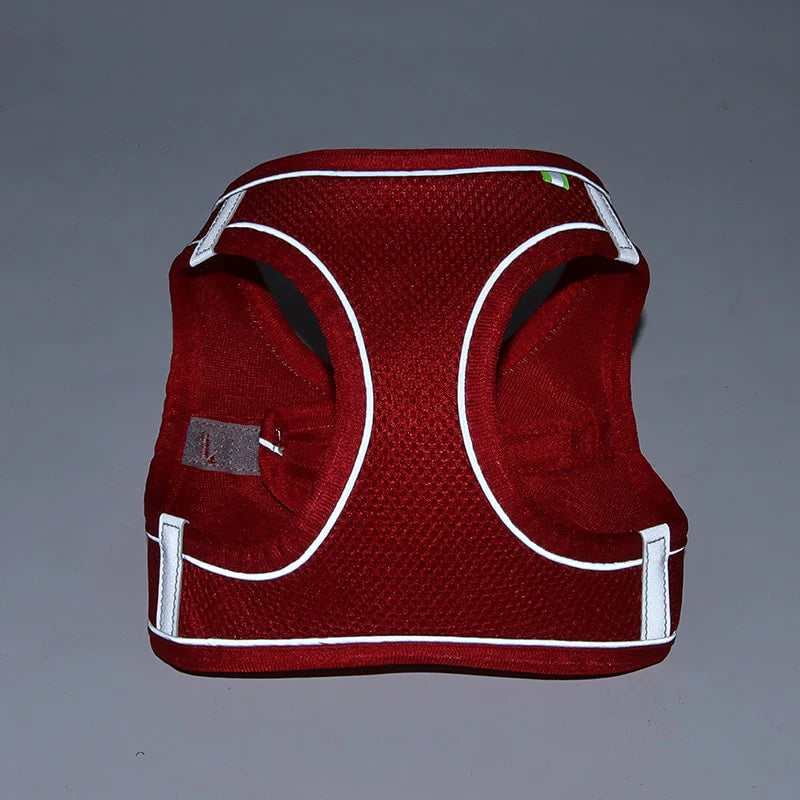 Adjustable Small Dog Harness & Leash Set