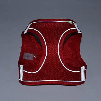 Adjustable Small Dog Harness & Leash Set