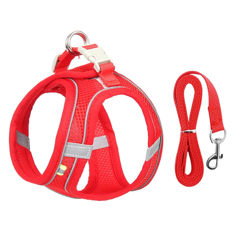 Adjustable Small Dog Harness & Leash Set