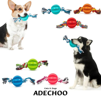 Interactive Chew Ball for Dogs – Tooth-Cleaning Food Toy
