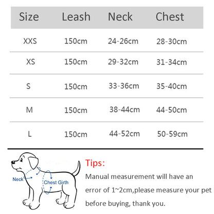 Adjustable Small Dog Harness & Leash Set