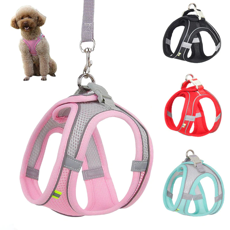 Adjustable Small Dog Harness & Leash Set