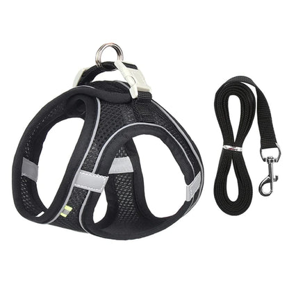 Adjustable Small Dog Harness & Leash Set