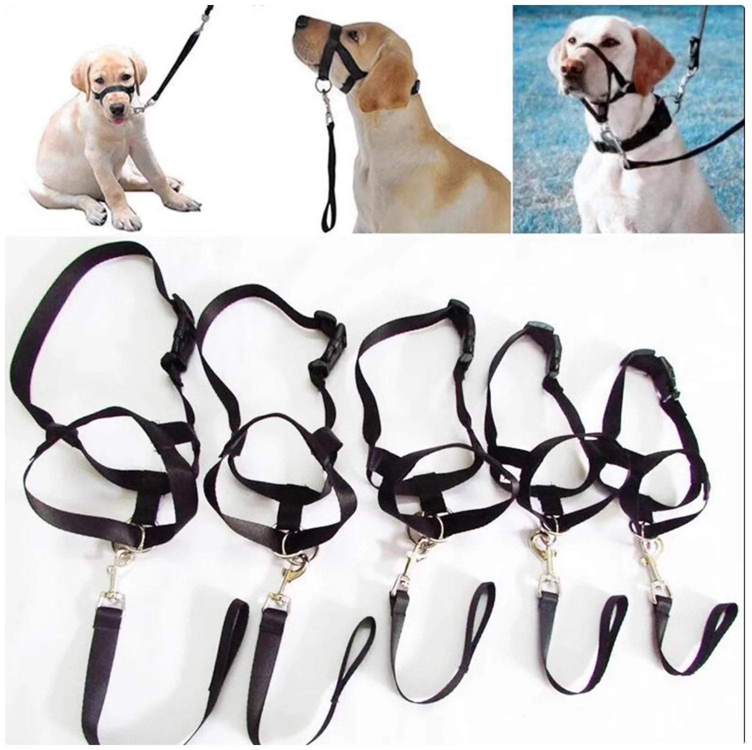 Dog Nose Loop Headcollar – No-Pull Training Halter for Walks