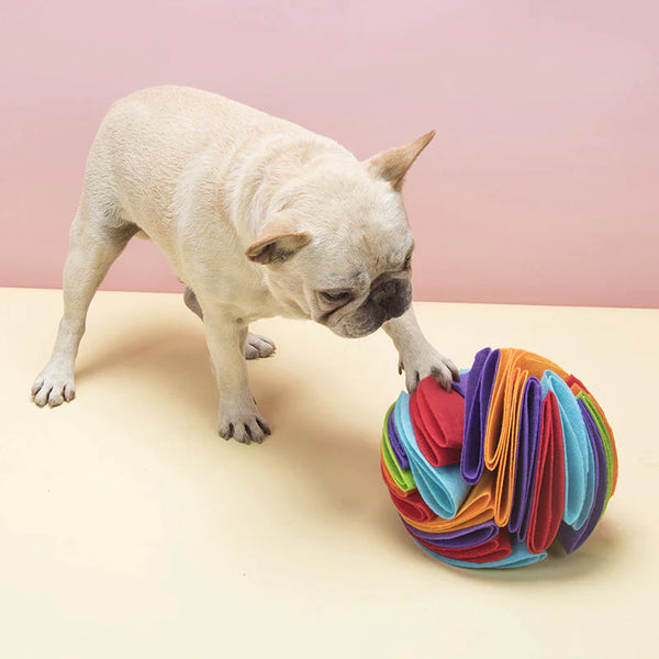 Snuffle Ball Dog Puzzle Toys 