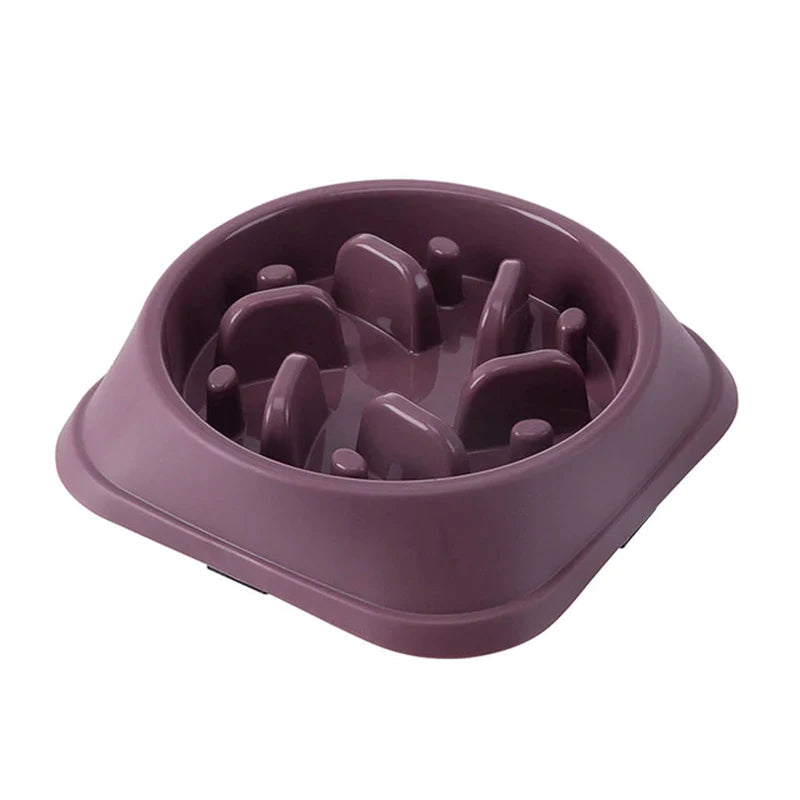 Slow Feed Non-Slip Bowl – Choke-Proof for Small Dogs & Cats
