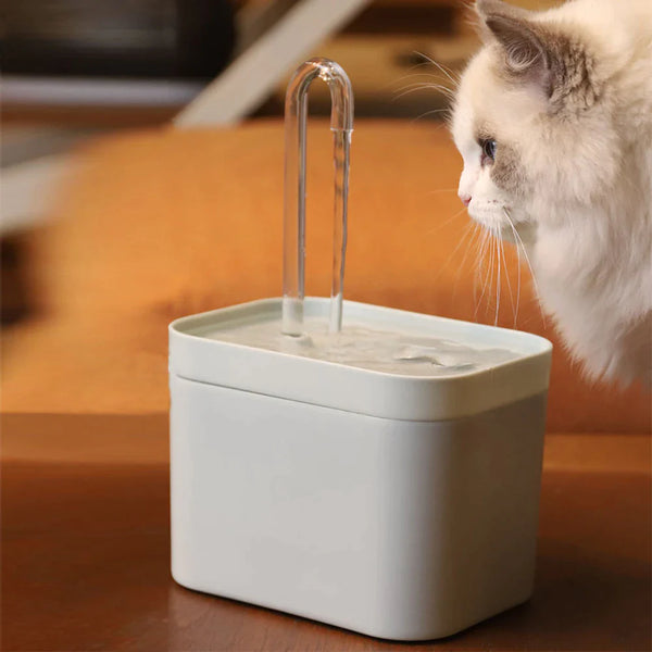 Cat Water Fountain Auto Filter | 1.5L Recirculate Filtering Drinker 