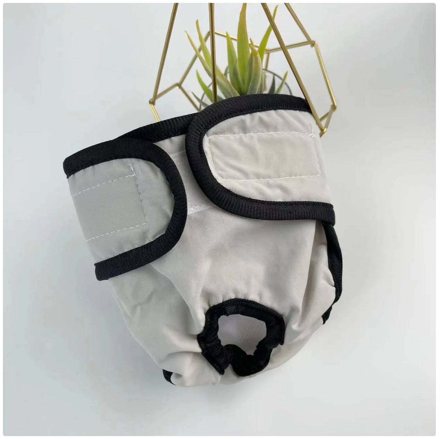 Female Dog Sanitary Pants - Washable Reusable Dog Diapers for Heat Cycle & Incontinence