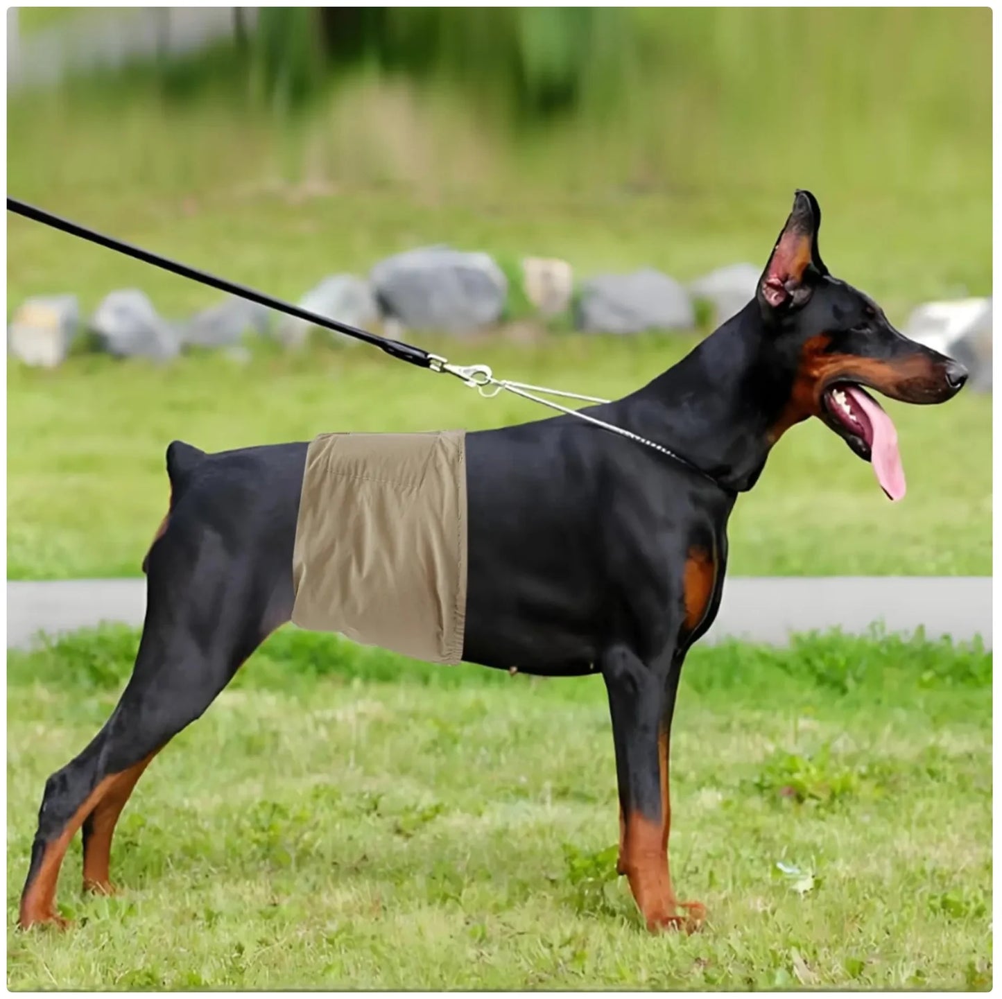 Waterproof Dog Belly Band & Diaper Wrap – Reusable Sanitary Pants