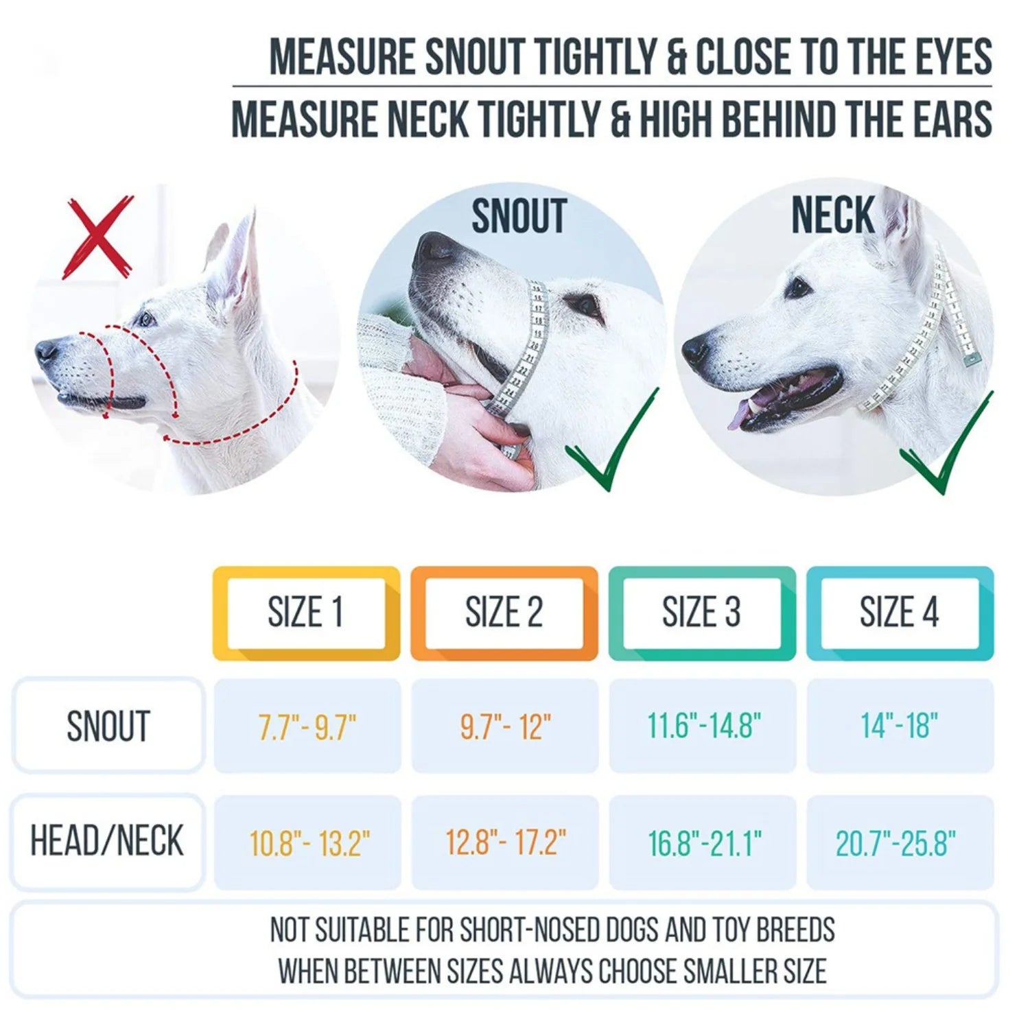 Reflective Dog Headcollar & Harness - No-Pull Training Collar for Small to Large Dogs