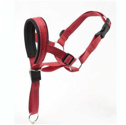 Reflective Dog Headcollar & Harness - No-Pull Training Collar for Small to Large Dogs